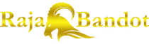 Bonanza